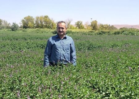 مزارع سبزی و صیفی تبریز از ظرفیت‌های گردشگری شهرستان است