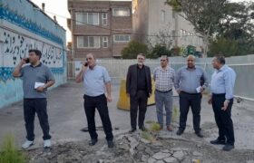 کاربری پروژه تجاری دمشقیه به فضای سبز تغییر یافت