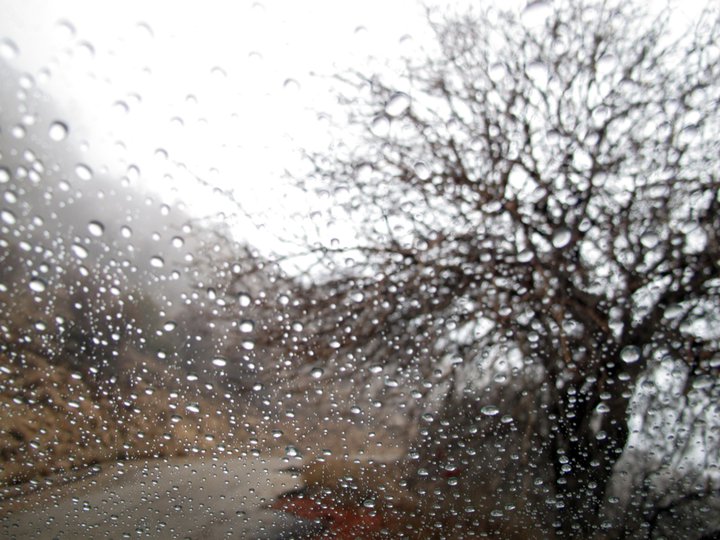 پیش بینی بارش باران در روزهای آخر تابستان