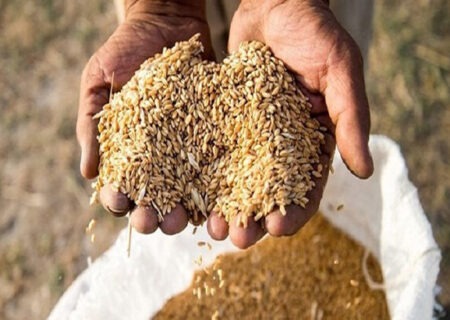 کشف ۲۸ تن گندم قاچاق در مراغه توسط پلیس آذربایجان‌شرقی