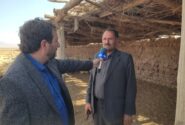 ۸۰ هزار رأس گوسفند ماکویی در یکانات مرند