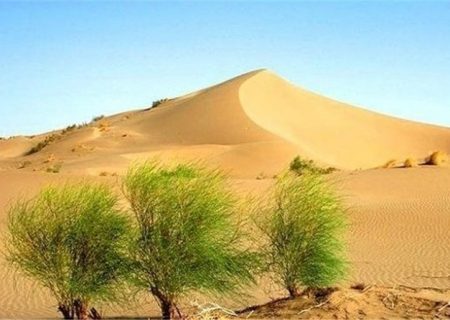 زنجان در مسیر بیابان شدن