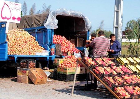 سرانجام ساماندهی وانت‌بارها، منتظر اقدام عملی شهرداری!؟