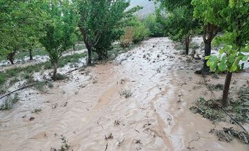 خسارت باران به آذربایجان‌شرقی