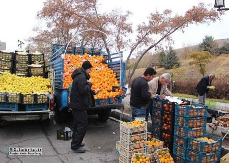 کاهش ۲۲ درصدی ترافیک شهری با اجرای طرح جمع‌آوری وانت‌بارها