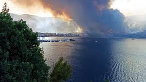 آتش‌سوزی گسترده در هفت استان ترکیه/ تخلیه ۹ منطقه مسکونی