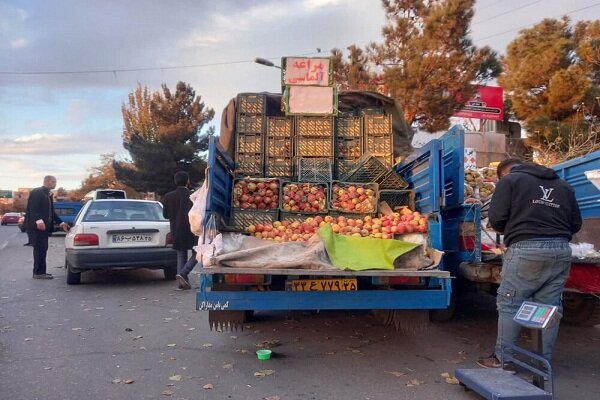 جمع‌آوری وانت‌بارهای میوه فروش نیازمند مشارکت شهروندان و ارگان‌های مختلف
