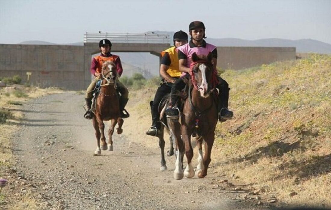 برگزاری جشنواره ملی شوسواری در اهر