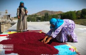 ثبت جشنواره سماق قرمز هوراند در تقویم رویدادهای گردشگری کشور