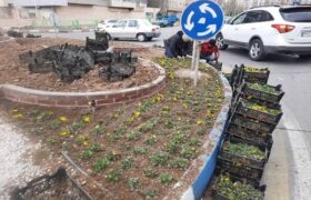 هدفگذاری برای ایجاد مناظر زیبای طبیعت بهاری با کاشت گل های بنفشه در میادین شهرداری منطقه ۲ تبریز