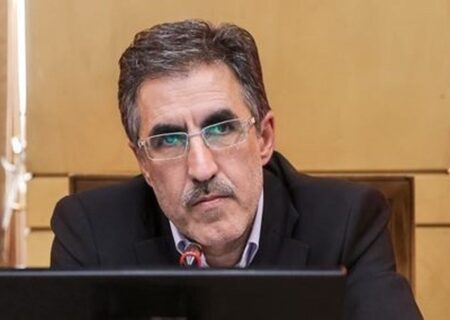 میدان باید برای بخش خصوصی باز شود/ توسعه زنجیره‌های پایین‌دستی اولویت ماست