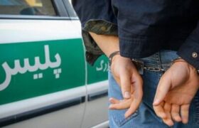 دستگیری عامل تخریب سنگ قبور در تبریز