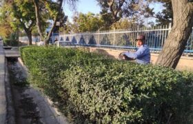 آغاز عملیات فرم‌دهی ارقام ردیفی در سطح شهر