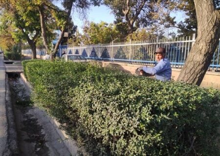 آغاز عملیات فرم‌دهی ارقام ردیفی در سطح شهر