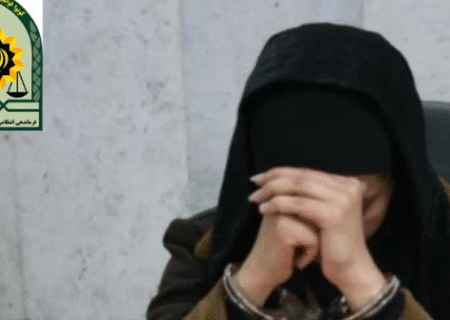 دستگیری زن کلاهبردار ۲۷۰ میلیارد ریالی در آذرشهر