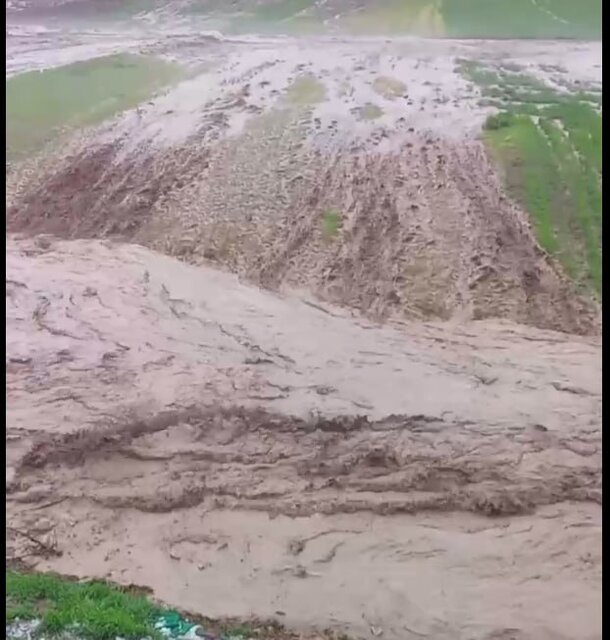 تلف شدن ۵۰ رأس دام در پی سیل در روستاهای آذربایجان شرقی