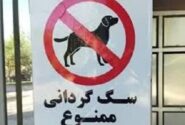 پلمب مهد سگ‌ در تبریز
