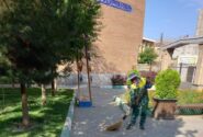 بوستان شهید یوشاری به پارک بانوان تبدیل می‌شود