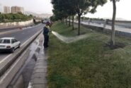 استمرار اجرای طرح نگهداری فضاهای سبز شهری تبریز در روزهای گرم سال