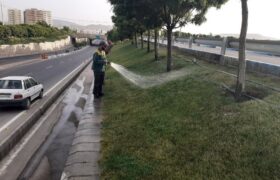 استمرار اجرای طرح نگهداری فضاهای سبز شهری تبریز در روزهای گرم سال