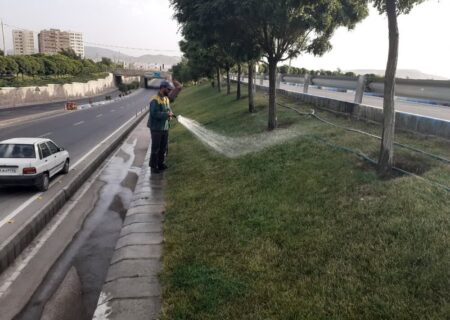 استمرار اجرای طرح نگهداری فضاهای سبز شهری تبریز در روزهای گرم سال