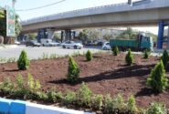ساماندهی فضای سبز غرب و شمالغرب تبریز