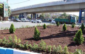 ساماندهی فضای سبز غرب و شمالغرب تبریز