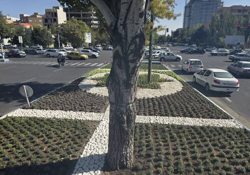 تکاپوی نیروهای فضای سبز تبریز برای اجرای شایسته طرح‌های پاییزی