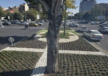 تکاپوی نیروهای فضای سبز تبریز برای اجرای شایسته طرح‌های پاییزی