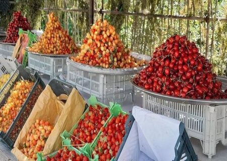 هر محصول، یک جشن؛ روایت آذربایجان غربی از سنت و شادی