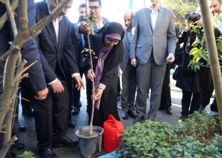 غرس نهال توسط وزیر راه و شهرسازی به یاد دو دانش‌آموز شهید تبریز