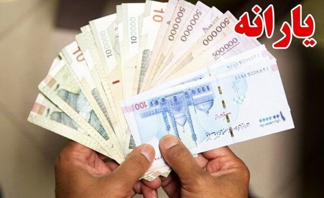 خانوادههای دارای بیماران خاص و معلول و مددجویان بهزیستی و کمیته امداد مشمول حذف یارانه نیستند