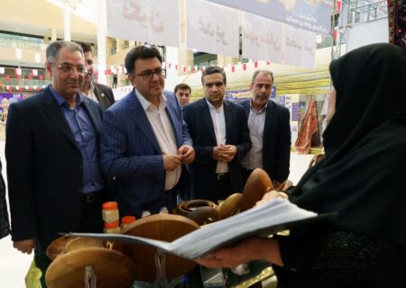 منطقه آزاد ارس الگویی ملی برای توسعه مشاغل خانگی و روستایی است