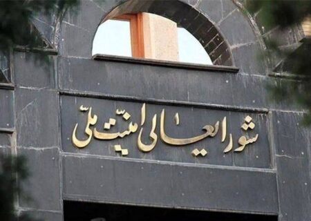 مسیر همکاری با آژانس تعلیق خواهد شد/ قدردانی شعام از اقدام سنجیده قوه‌ قضاییه بابت عفو زندانیان