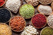 آغاز برداشت، قیمت حبوبات را در بازار کاهش داد