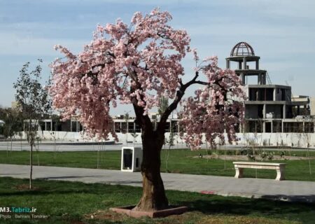 پاییز بهاری پارک باغشمال با نصب المان شکوفه های گیلاس