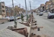 سبزینگی در مسیر آیت‌الله آل‌هاشم؛ جلوه‌ای تازه از پایداری شهری