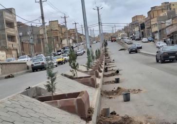 سبزینگی در مسیر آیت‌الله آل‌هاشم؛ جلوه‌ای تازه از پایداری شهری