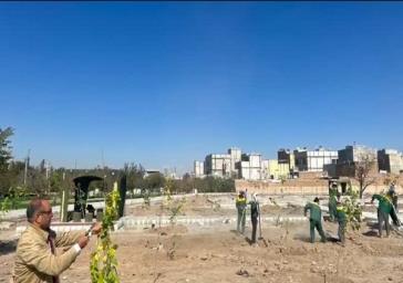 رویش سبزینگی در مسیر توسعه، باغ امیر جان گرفت