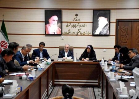 تسهیل صدور مجوزها برای جذب سرمایه‌گذاران در دستورکار مدیریت آذربایجان شرقی