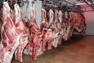 توزیع گوشت وارداتی با قیمت زیر ۷۰۰ هزار تومان از هفته آینده