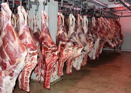 توزیع گوشت وارداتی با قیمت زیر ۷۰۰ هزار تومان از هفته آینده