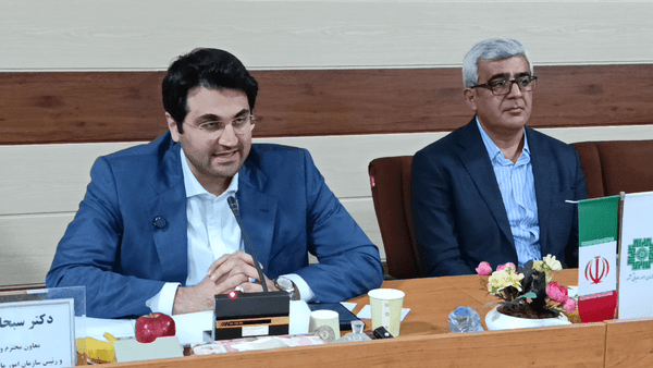 سیستمی شدن فرآیند دریافت مالیات در کشور