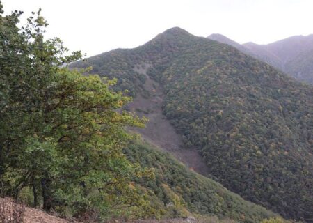 آماده‌باش یگان حفاظت محیط‌زیست در جنگل‌های آذربایجان شرقی