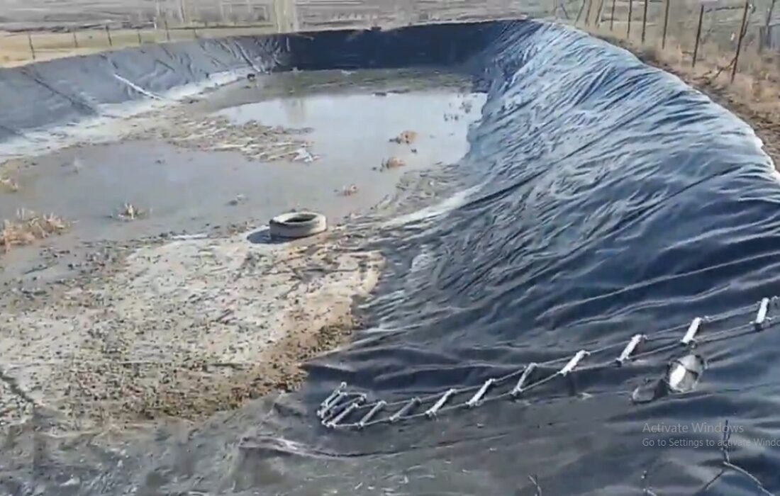 رهایی دو روباه گرفتار در استخر روستای قلعه اصلانیان میانه