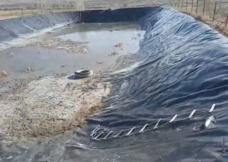 رهایی دو روباه گرفتار در استخر روستای قلعه اصلانیان میانه