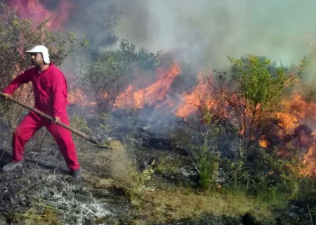 نبرد سخت با آتش دیزمار زیر بادهای شدید و انتظار بالگرد