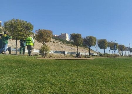 عملیات هرس و فرم‌دهی درختان نارون در محور تبادل امام علی (ع) آغاز شد