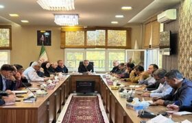 آغاز عملیات هرس درختان از ۲۱ آبان در مناطق دهگانه تبریز/ برنامه‌ریزی برای استقبال از بهار ۱۴۰۵