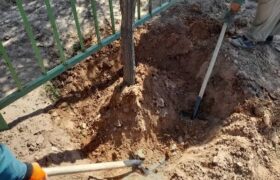 استفاده از فناوری نانو برای اصلاح خاک و کاهش مصرف آب دراتوبان پاسداران تبریز